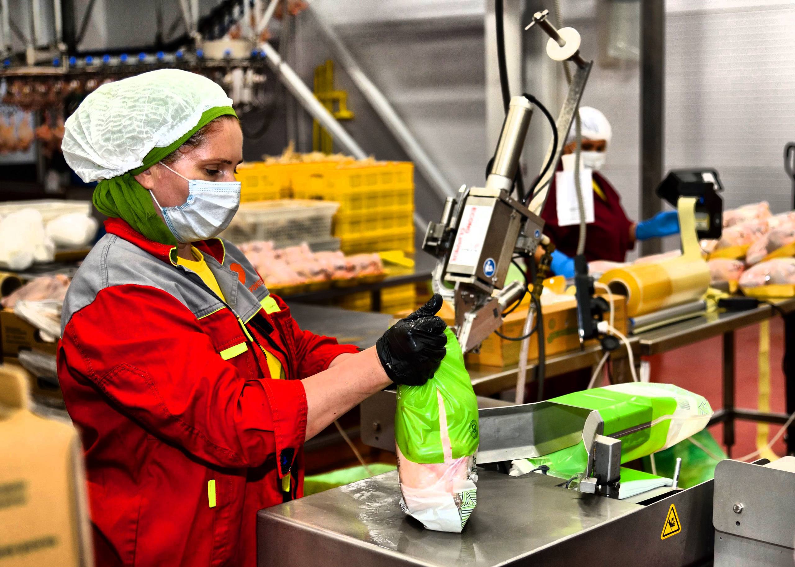 Более 20 инвестпроектов по переработке сельхозпродукции получили поддержку в 2024–2025 годах в Дагестане